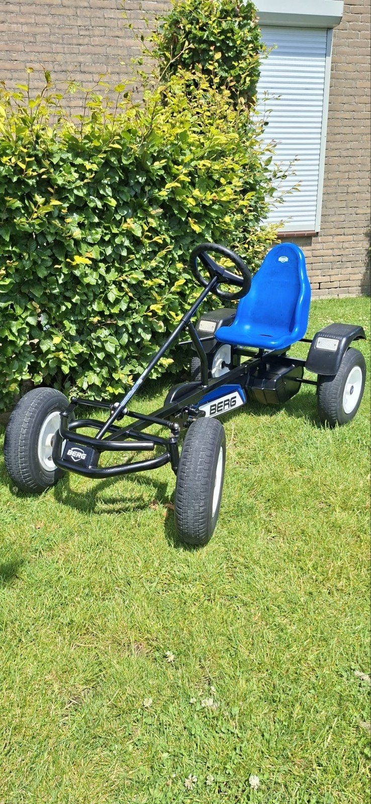 Mooie BERG SKELTER Met BFR systeem, Ophalen, Zo goed als nieuw, Berg, Vrijloopautomaat