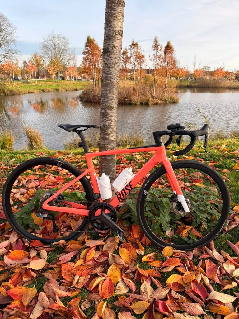 Rose Xlite 04 – Ultegra Di2 R8150 | Maat 53 |, Carbon, Zo goed als nieuw, Meer dan 20 versnellingen, 53 tot 57 cm