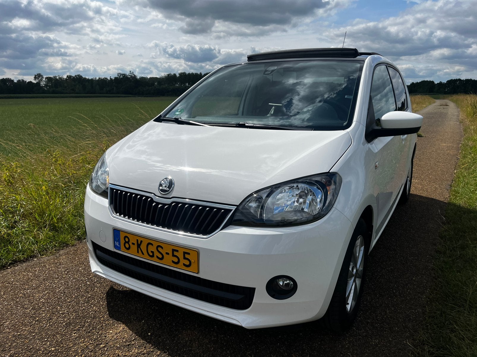 Škoda Citigo 1.0 Arctic Automaat | Panorama dak | Navi, Auto's, Skoda, Stof, 74 pk, Zwart, 4 stoelen