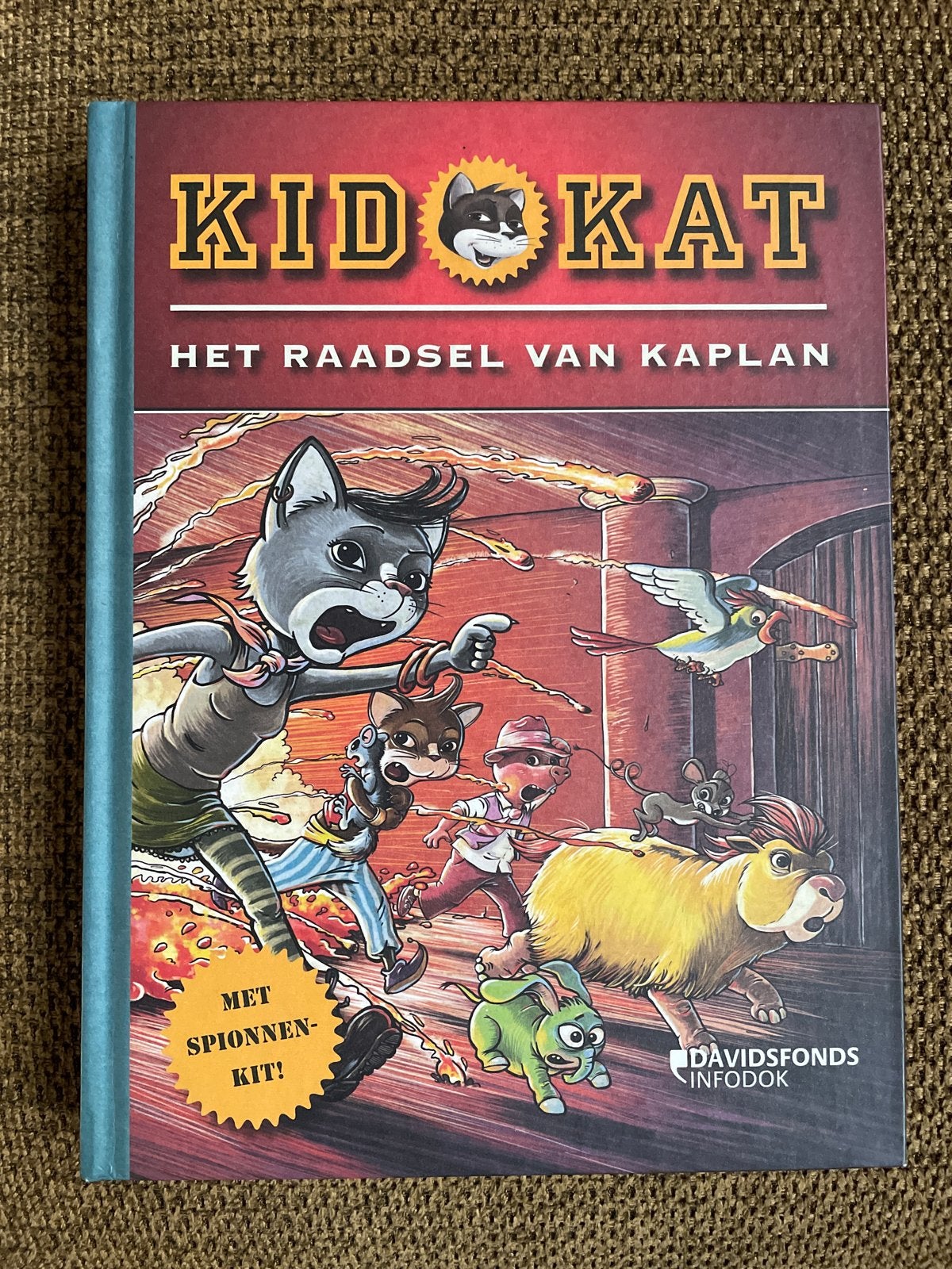 Kid Kat - het raadsel van Kaplan, Fictie algemeen, Ophalen of Verzenden, Zo goed als nieuw, Kid Kat