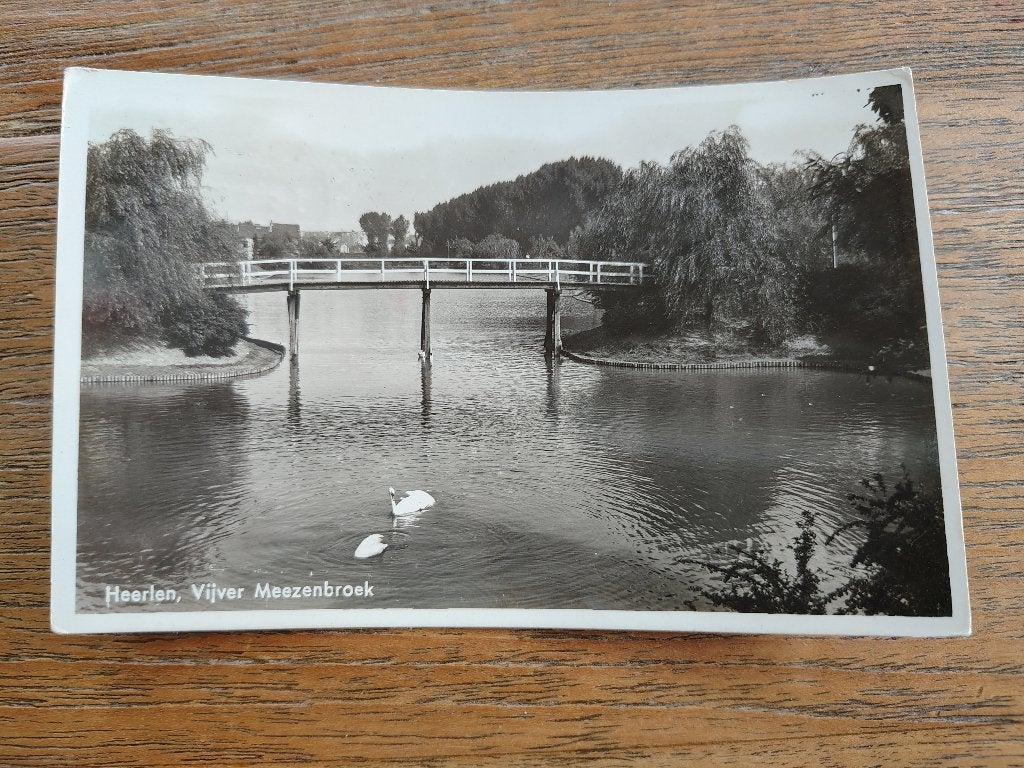 Heerlen Vijver Meezenbroek met zwanen, Ophalen of Verzenden, 1940 tot 1960, Limburg
