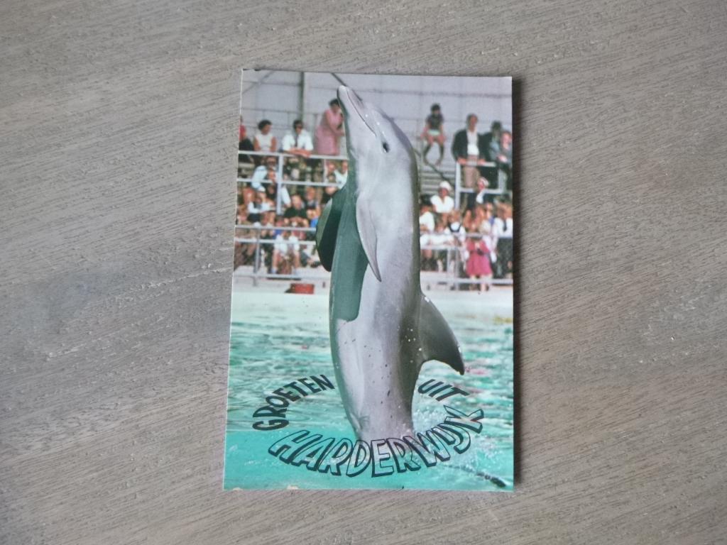 Harderwijk, Dolfinarium/dolfijn, Verzenden, 1980 tot heden, Ongelopen, Gelderland