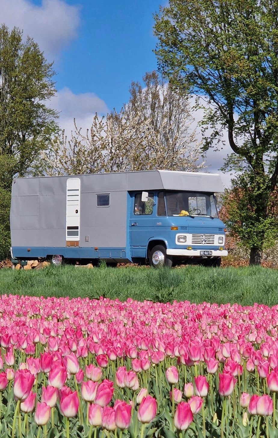 Mercedes 608 5 pers Camper APK en wegenbelastingvrij, Dakluik, Mercedes-Benz, Particulier, Koelkast