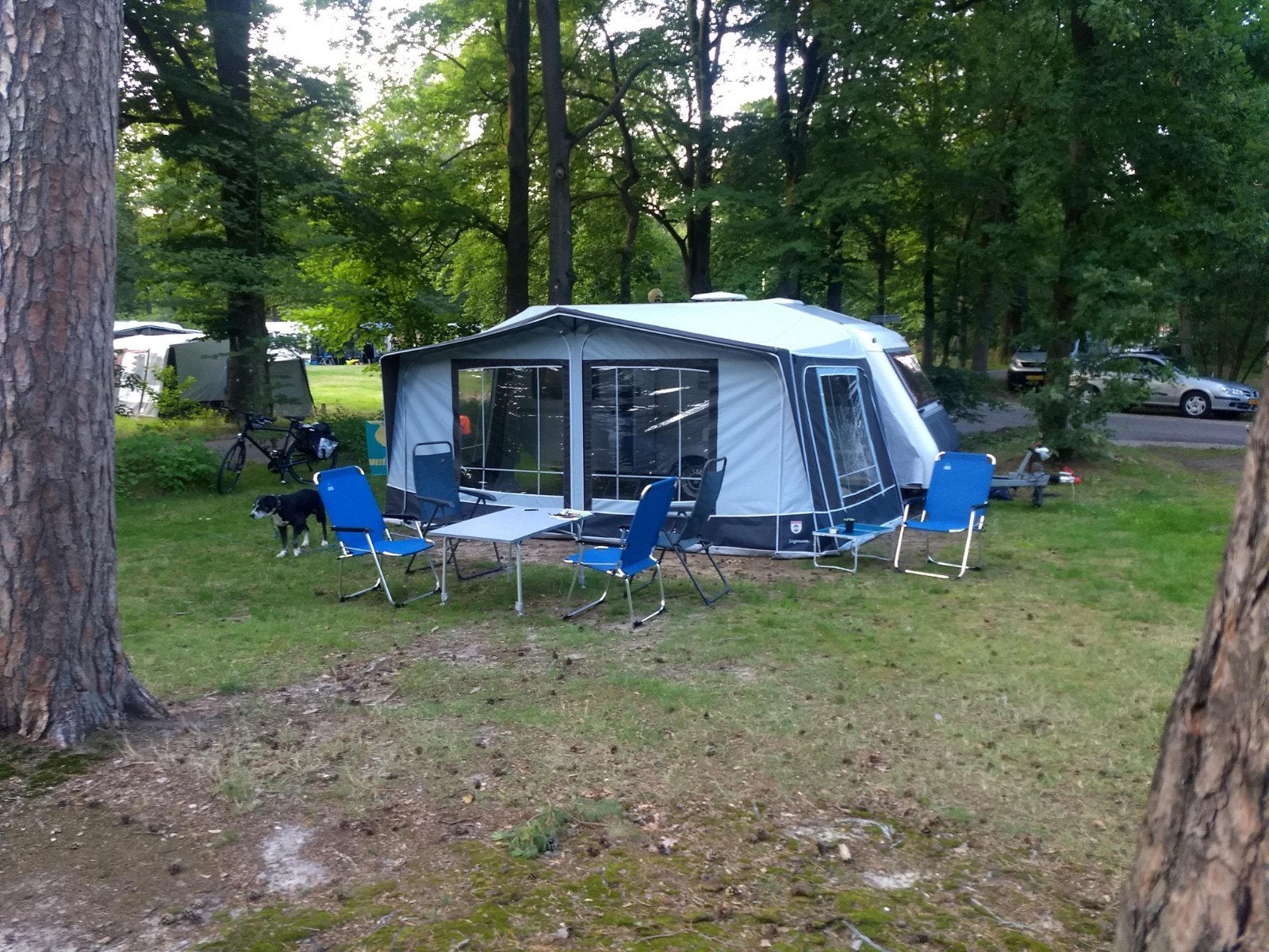 Walker voortent, omloopmaat 885, Caravans en Kamperen, Ophalen, Zo goed als nieuw, Walker Campingstyle