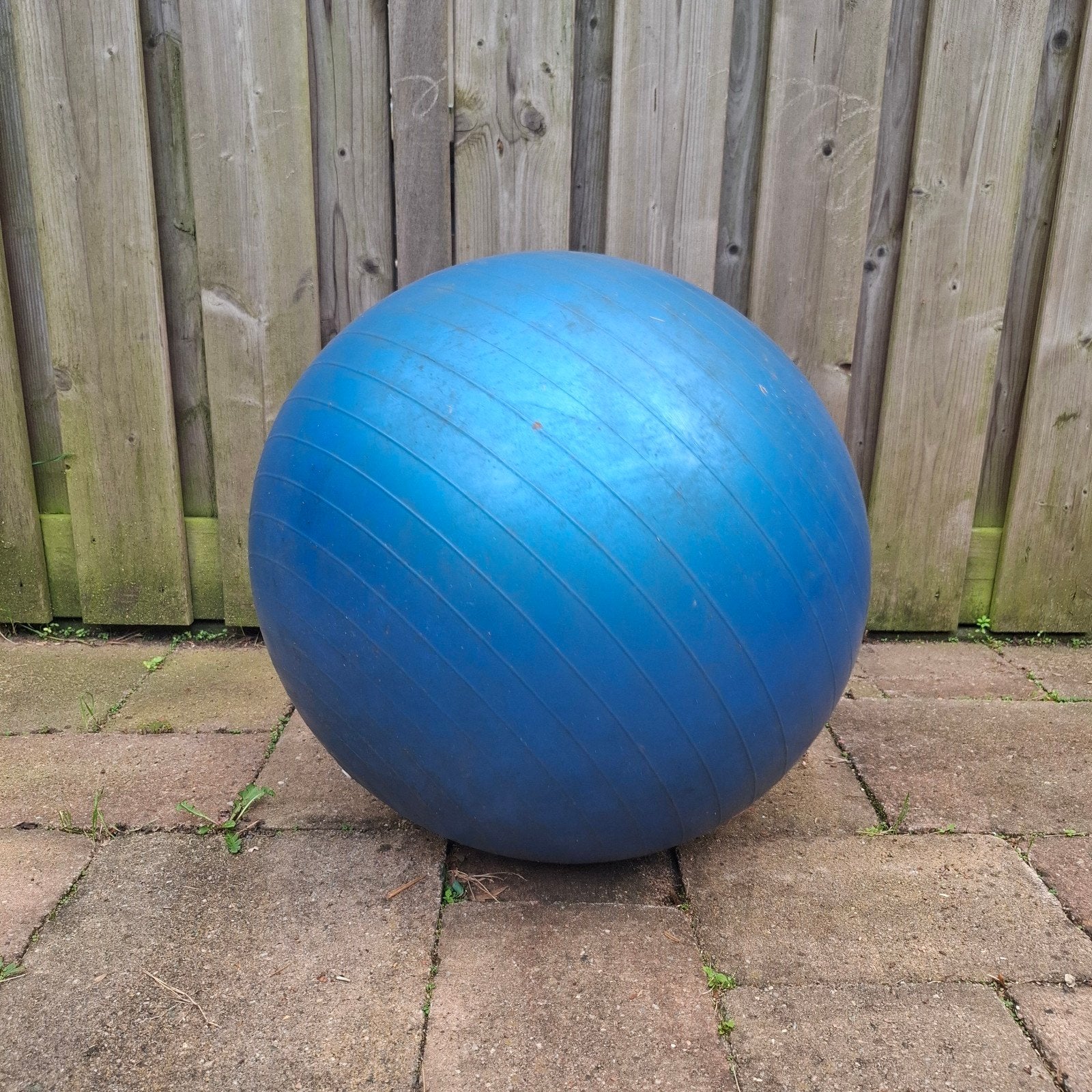 Blauwe (fitness)bal met pomp (paarden voetbal), Ophalen of Verzenden, Gebruikt