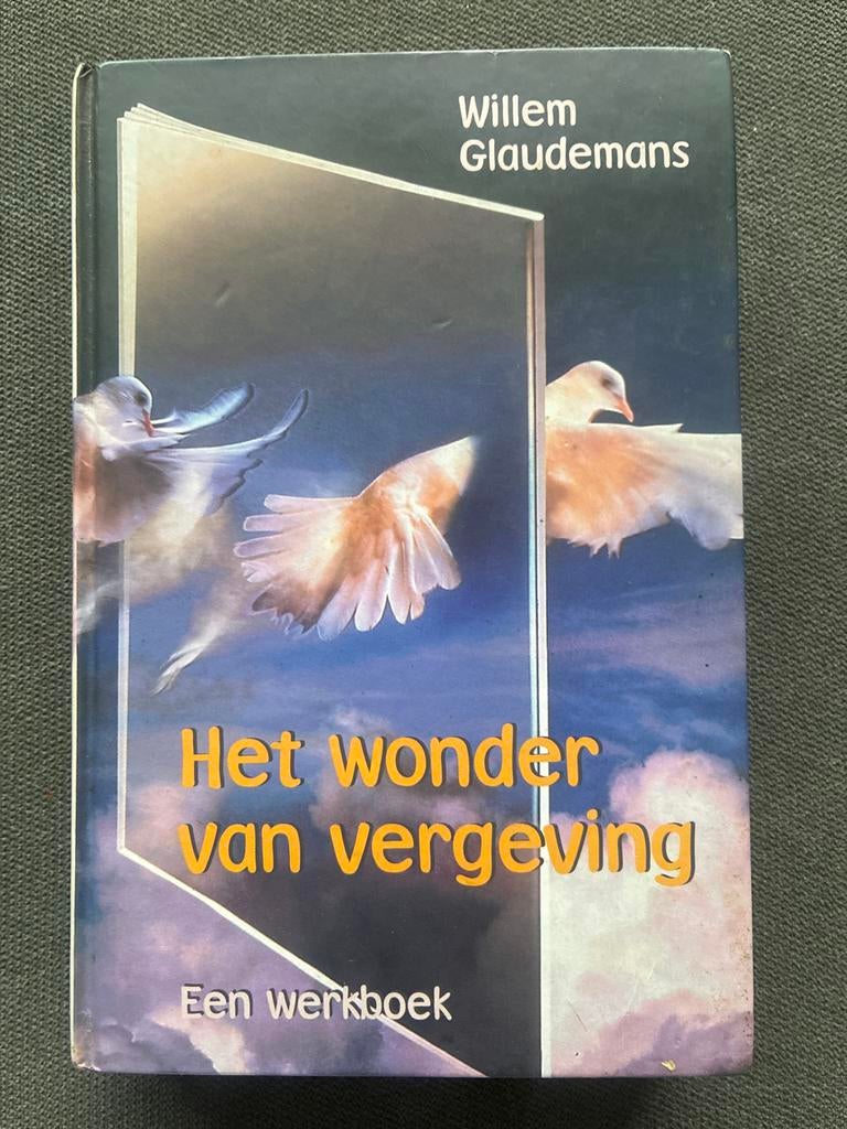 Het wonder van vergeving - Een werkboek, Boeken, Overige Boeken, Gelezen, Ophalen of Verzenden