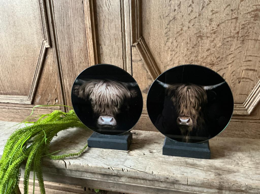 NIEUW set van 2 glas schilderijtjes met Schotse Hooglander, Ophalen of Verzenden, Nieuw