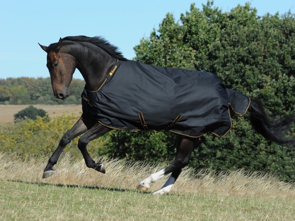 Bucas Irish Turnout Light 50gr. 175, 183, 191, 198, 206, 213, Dieren en Toebehoren, Paarden en Pony's | Dekens en Dekjes, Bucas