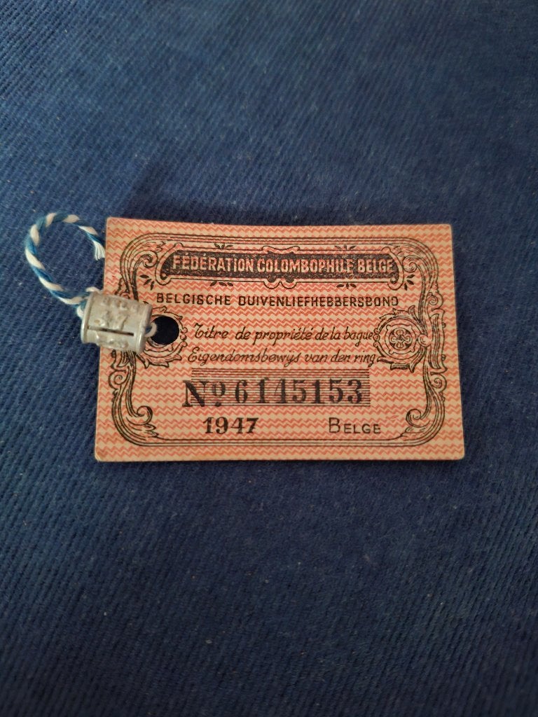 Duivenring 1947 belg, Dieren en Toebehoren, Postduif