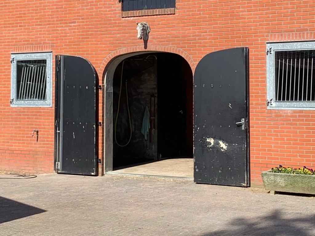 Gratis af te halen: Schuurdeuren / staldeuren, Ophalen of Verzenden, Gebruikt, Hout, Overige typen