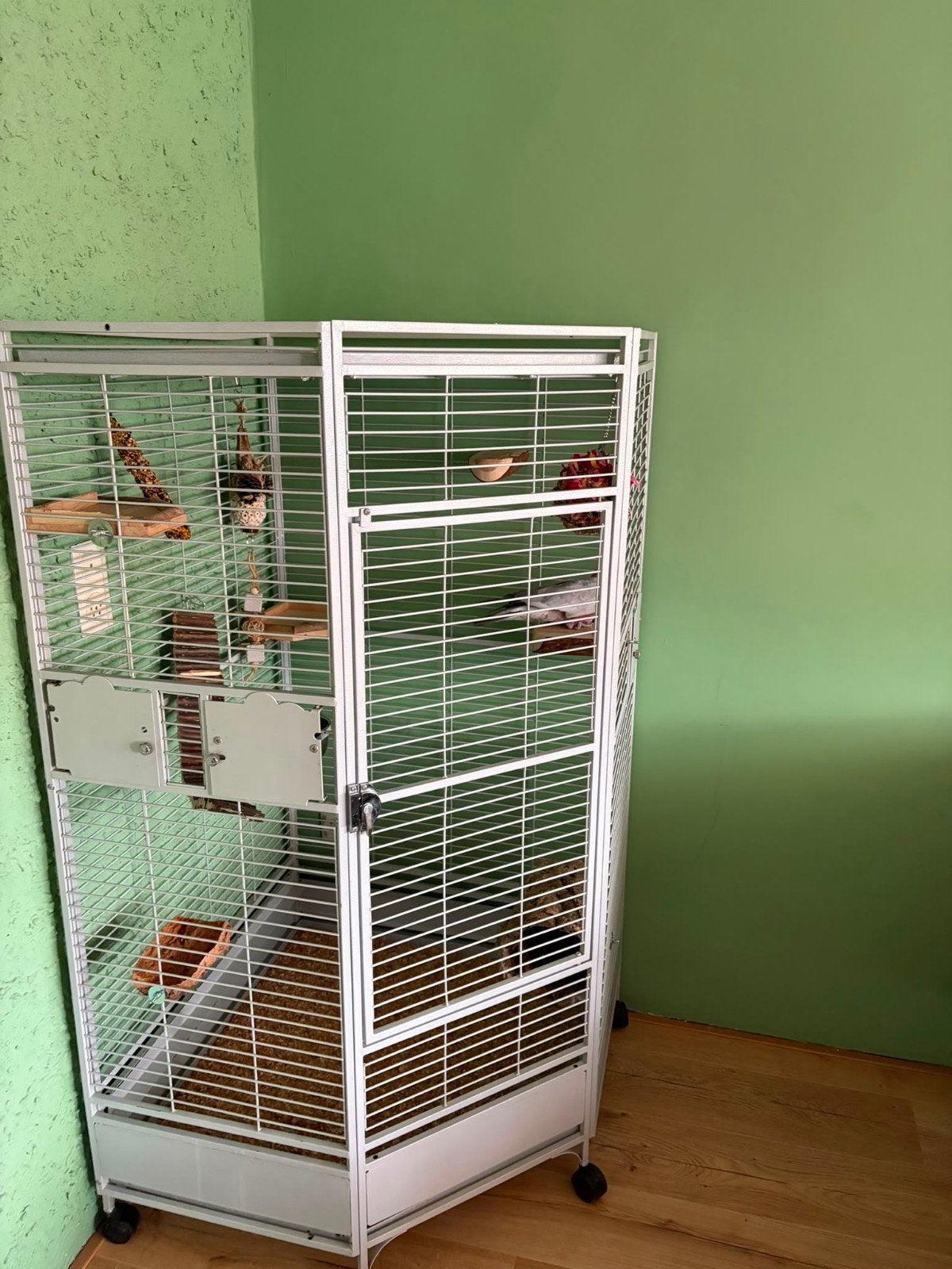 gezocht! ruime papegaaien kooien voor stichting Crazy Parrot, Dieren en Toebehoren, Ophalen of Verzenden, Metaal, Vogelkooi