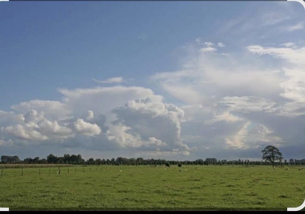 Weiland gezocht om te huren in Spijk gn of Holwierde, Dieren en Toebehoren, Stalling en Weidegang