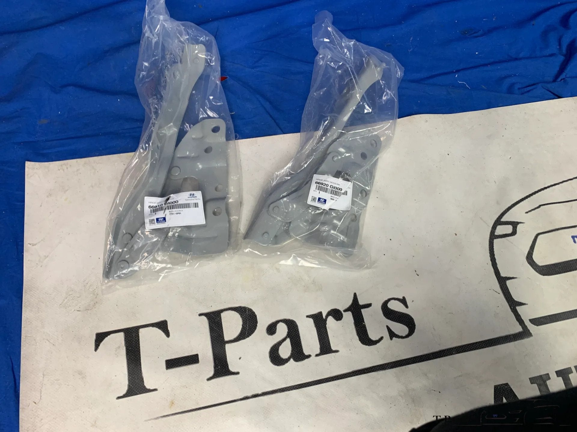 hyundai ioniq 5 motorkap schanieren 66910GI000 66920GI000