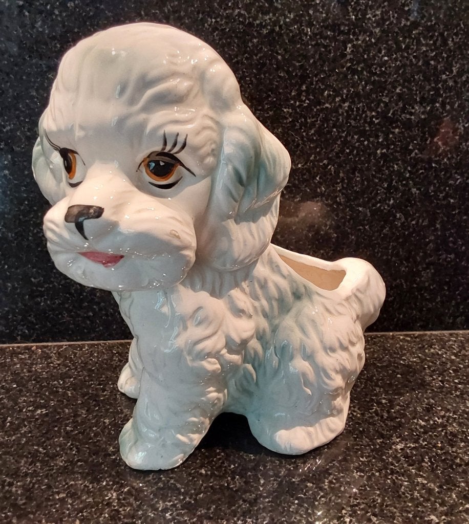 Leuk hondje., Ophalen of Verzenden, Gebruikt, Dier