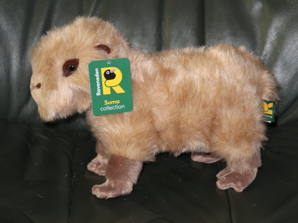 capibara knuffel 28 cm. Suma collection Ravensden capybara, Verzenden, Zo goed als nieuw, Overige typen, Met label