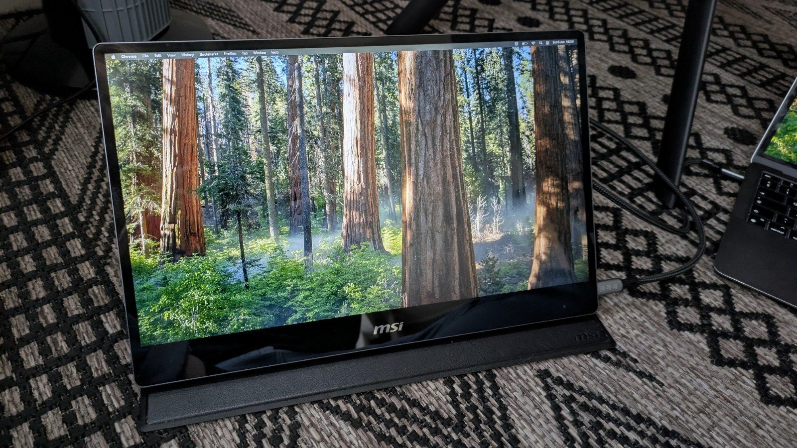 MSI Optix MAG162V draagbare Monitor - 15.6 Inch, IPS, HDMI, Full HD, Ophalen of Verzenden