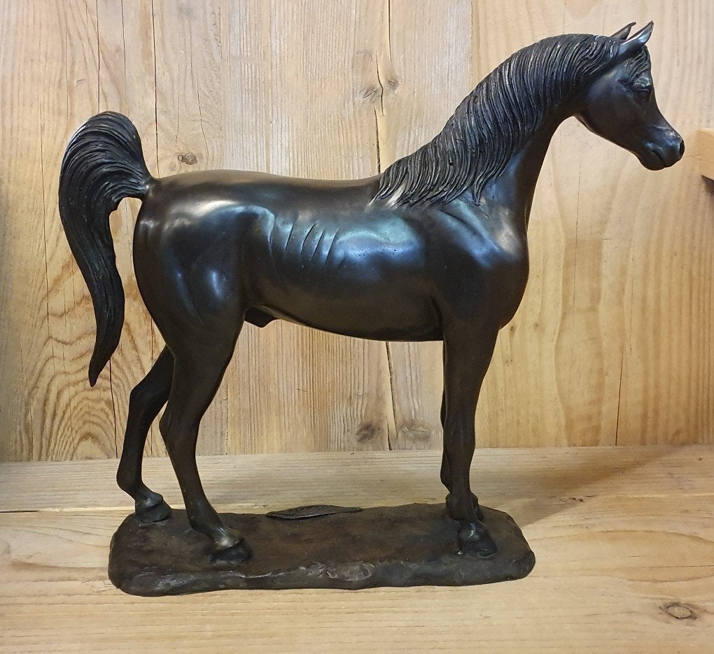 ARABISCH PAARD / ARABIER / HENGST / PAARD / PONY, Ophalen of Verzenden, Nieuw, Paard, Opgezet dier