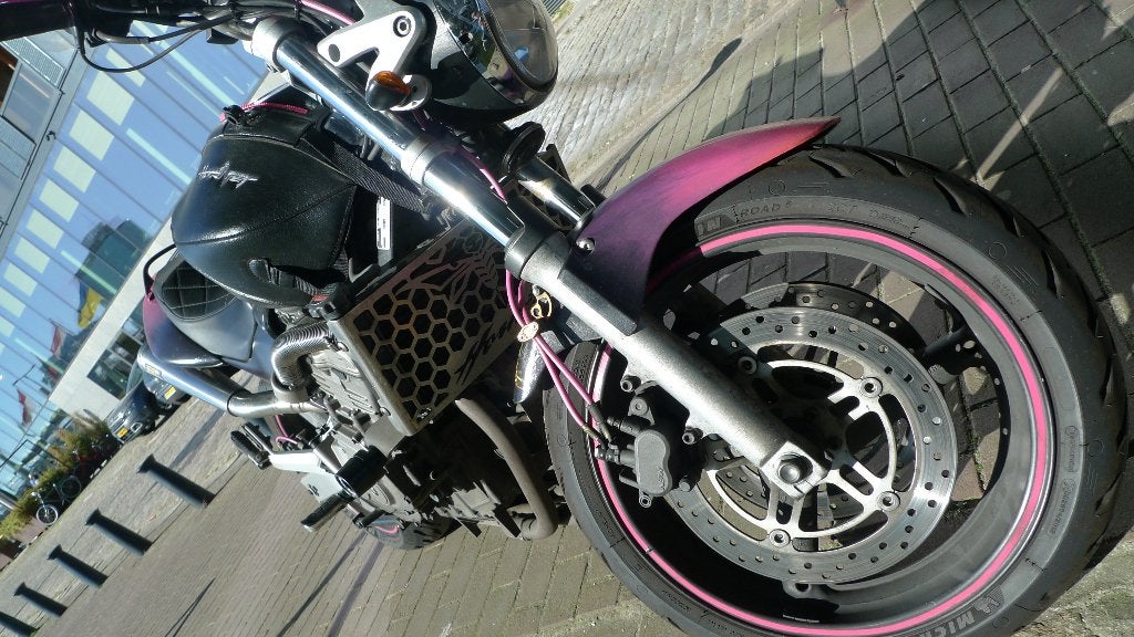 Foto 2 van Karaktervolle Honda Hornet CB600F (2004) – Klusproject