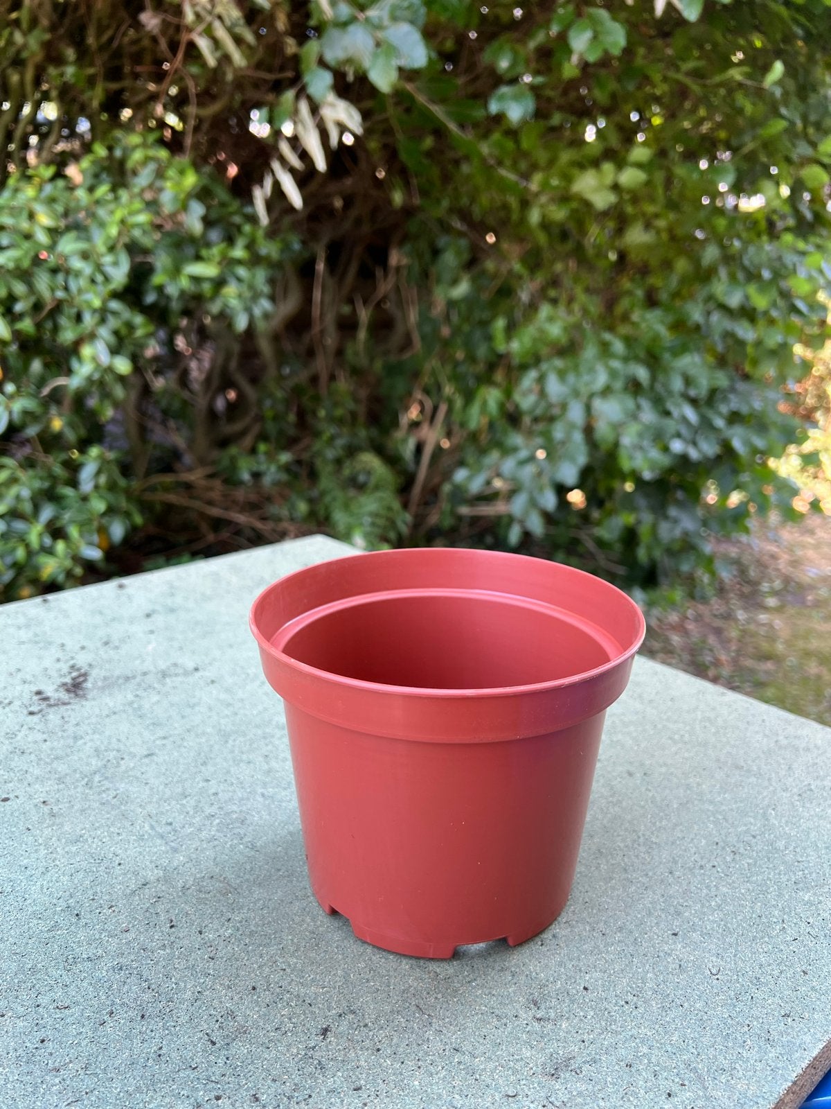 245x Kweekpotten 15cm 1.5 liter - Ideaal voor plant en stek, Tuin en Terras, Ophalen, Kunststof, Rond, Binnen