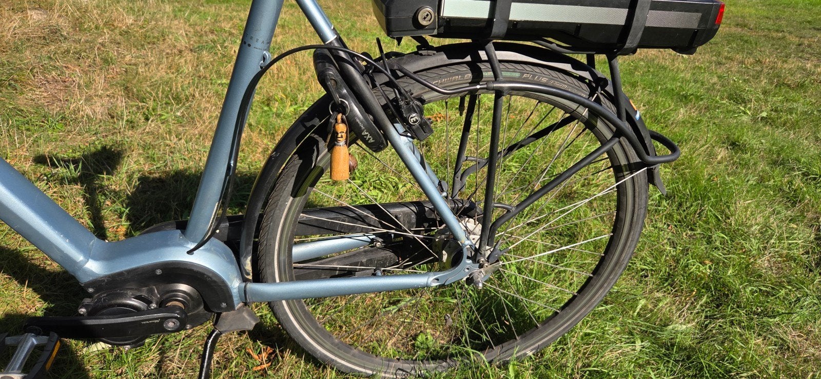Foto 5 van Batavus Stream ebike met zeer krachtige motor