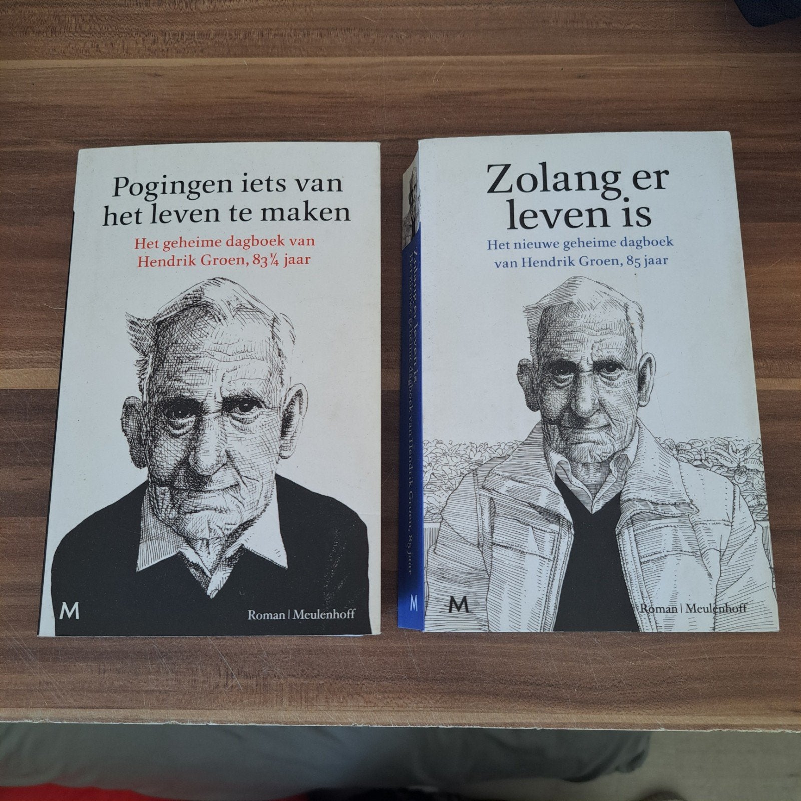 H.Groen:Pogingen iets van het leven te maken & Zolang, Ophalen of Verzenden, Zo goed als nieuw, Hendrik Groen