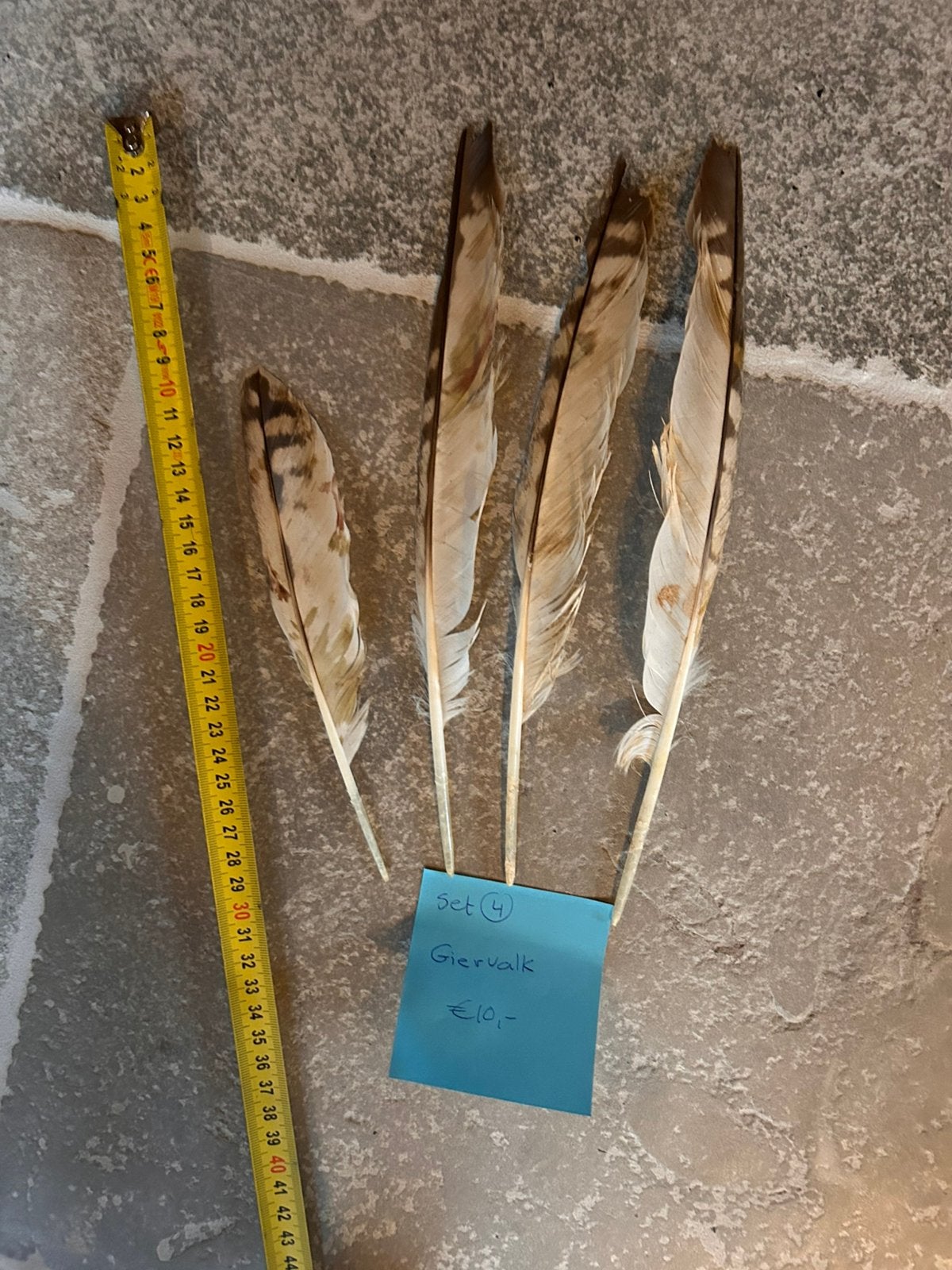 Roofvogel veren, Ophalen of Verzenden, Gebruikt