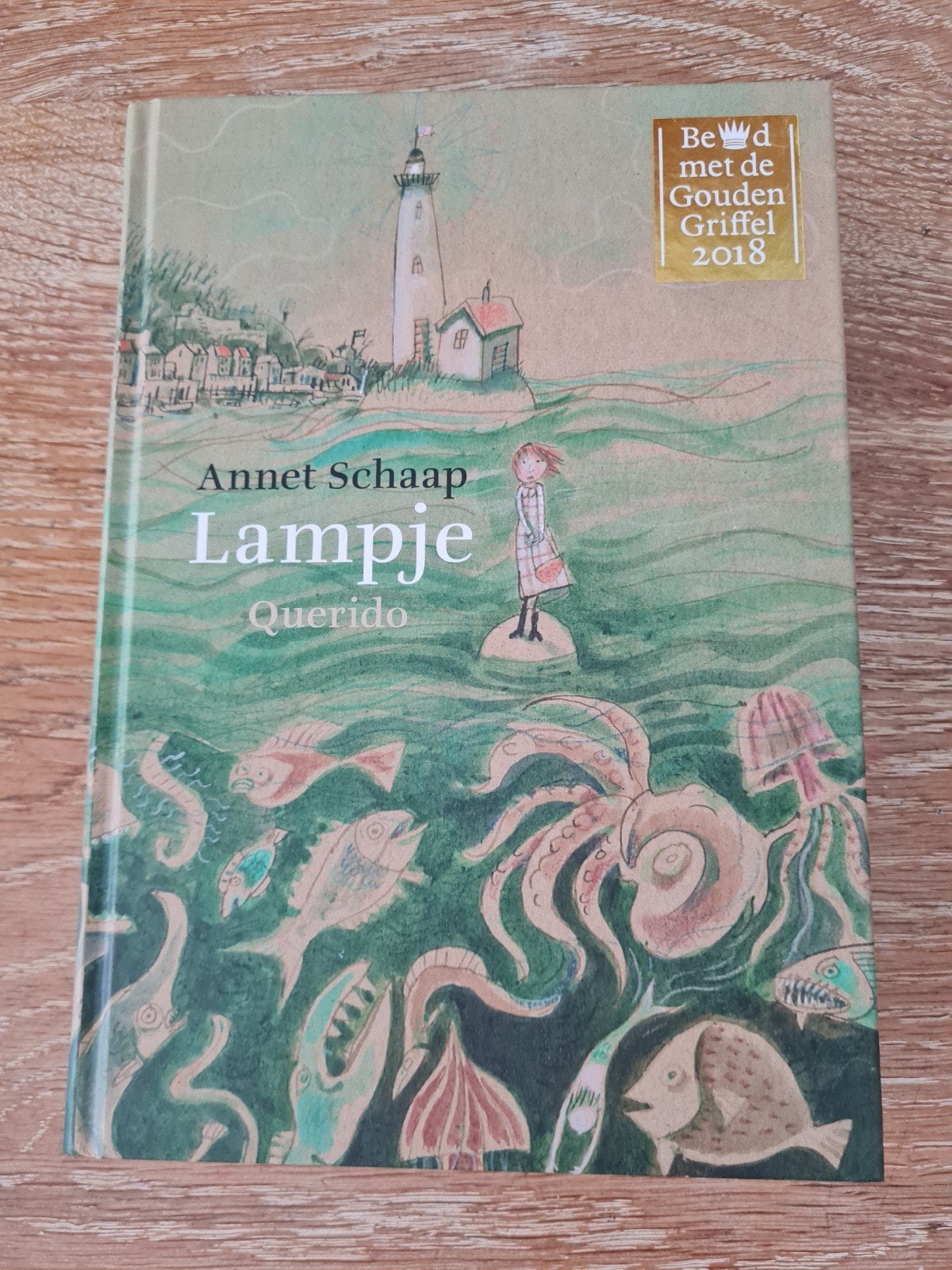 Annet Schaap - Lampje, Ophalen of Verzenden, Zo goed als nieuw, Annet Schaap