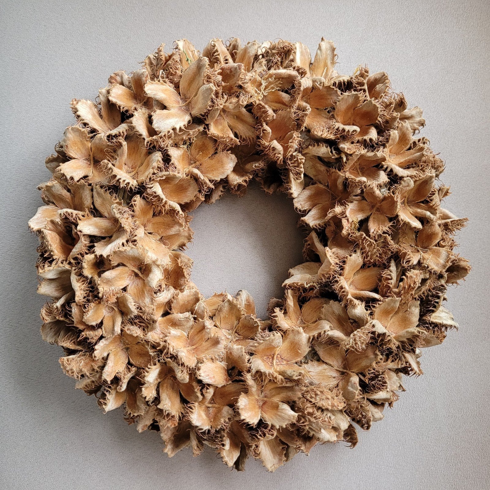 krans van beukennoothulsjes, herfstkrans, herfst krans, Ophalen, Krans, Nieuw, 25 cm