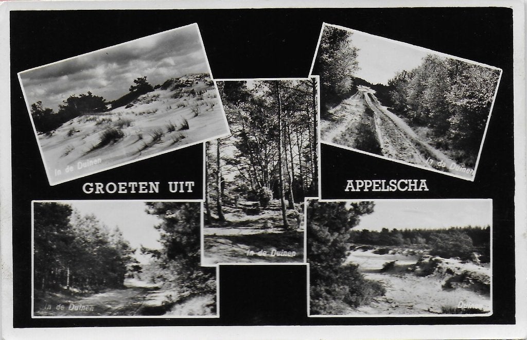 Appelscha Oude Gelopen Ansichtkaart ( B5072 ), Ophalen of Verzenden, 1960 tot 1980, Gelopen
