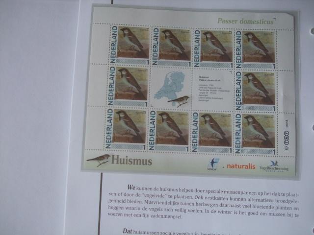 Ned. Mooi vel vogels Huismus, Verzenden, Dier of Natuur