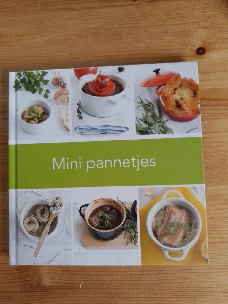 Mini pannetjes   Djoni Makkink, Boeken, Djoni Makkink, Overige typen, Ophalen of Verzenden, Zo goed als nieuw