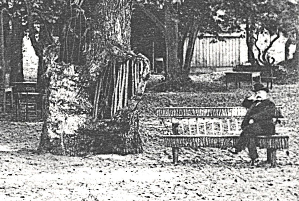 700153 Overveen NH 1905 Kraantje Lek Gelopen, Verzenden, Voor 1920, Gelopen, Noord-Holland