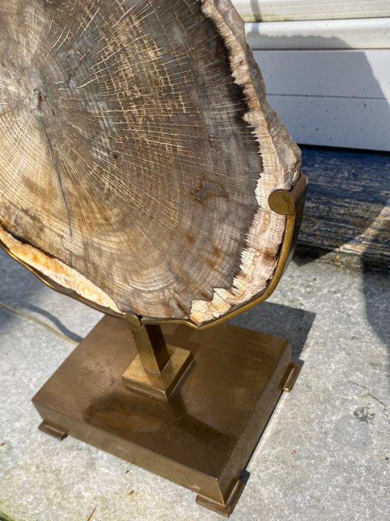 Zeldzame lamp van messing en versteende hout van Willy Daro, Ophalen