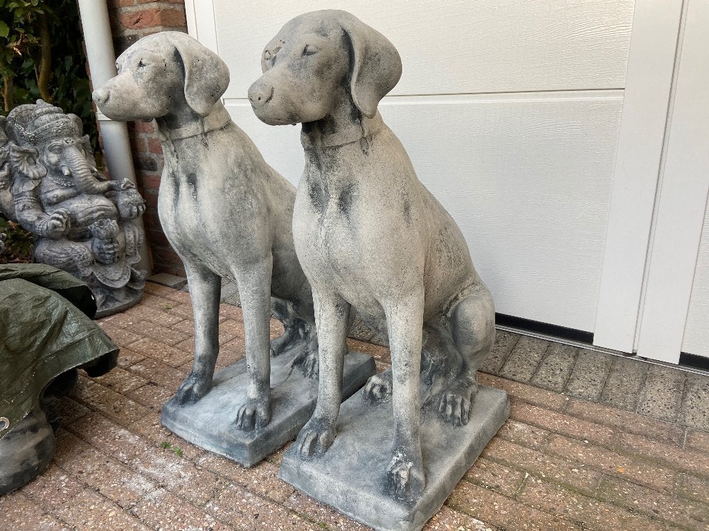 Engelse Jachthond , Pointer , Weimaraner , hoogte 72cm, Ophalen, Nieuw, Beton, Dierenbeeld