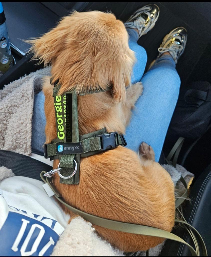 Anny-X tuigje met riem, Dieren en Toebehoren, Ophalen of Verzenden, Zo goed als nieuw