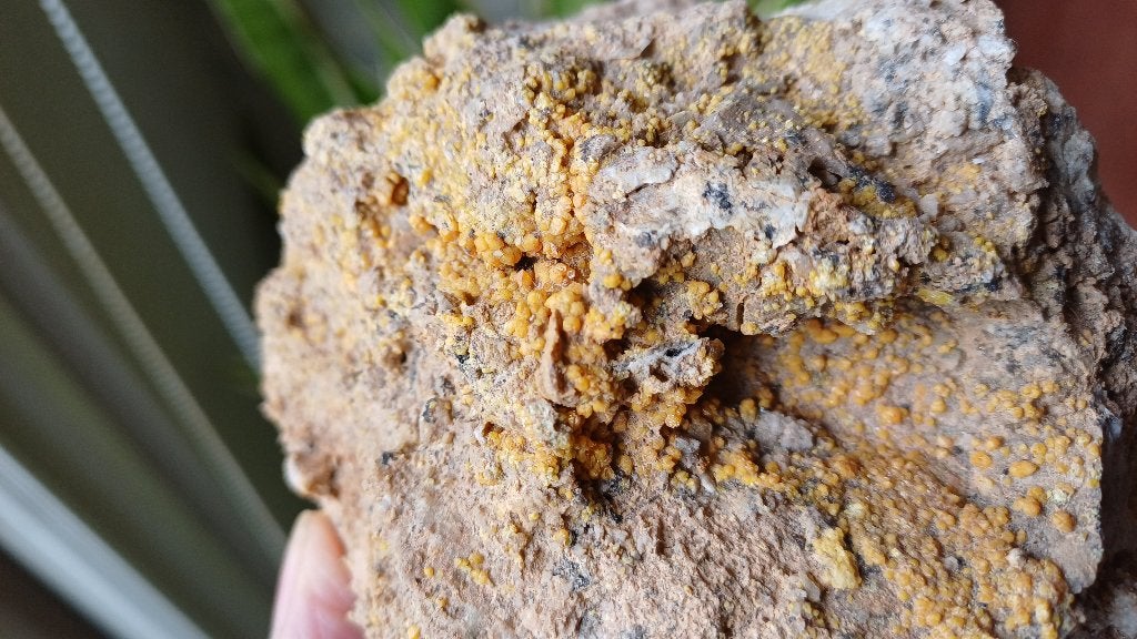 2609 Mimetesiet op Calciet Mexico #collectie #mineralen, Ophalen of Verzenden, Mineraal