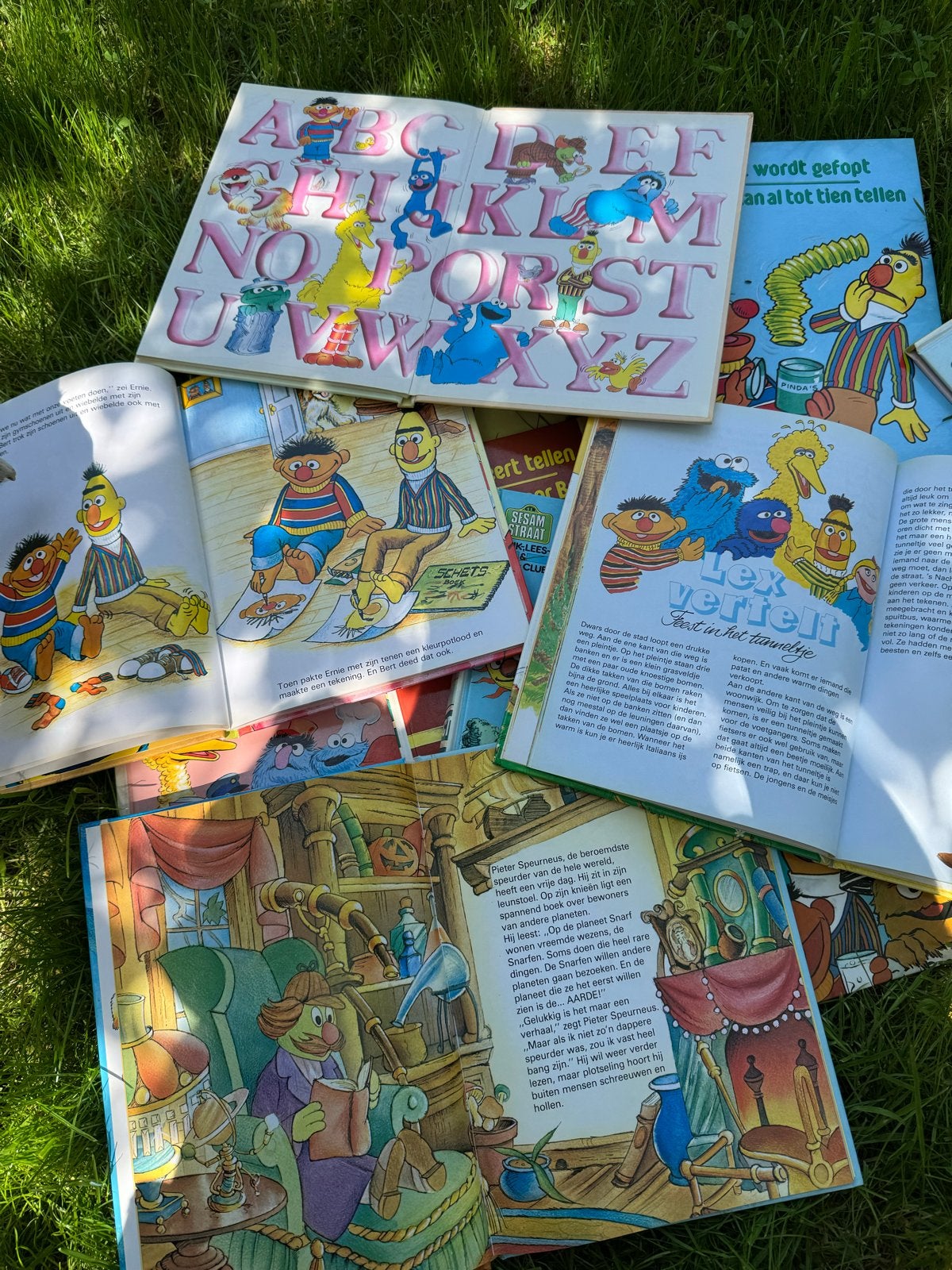 Grote collectie Sesamstraat kinderboeken (12 stuks), Boeken, Ophalen of Verzenden, Gelezen, Fictie algemeen