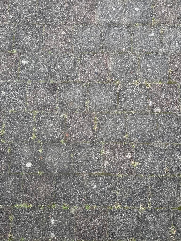 Gebruikte betontegels voor terras of pad, Ophalen, Gebruikt, 10 m² of meer, Beton