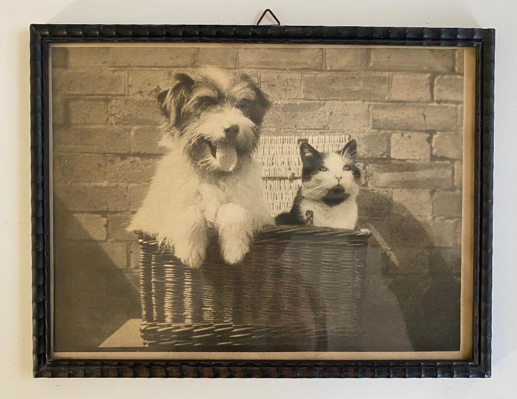 Fotolijstje met hond en kat datering hongerwinter 1945, Ophalen of Verzenden