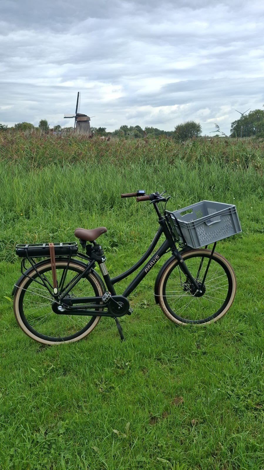 Raaks Elektrische Transport fiets, Ophalen, Zo goed als nieuw, Raaks