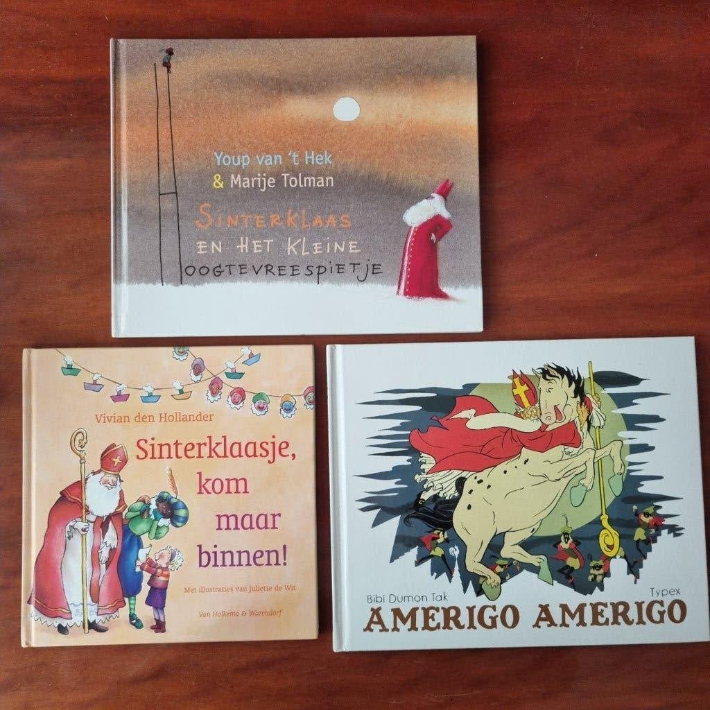 Amerigo Amerigo, Ophalen of Verzenden, Zo goed als nieuw, Fictie, Bibi Dumon Tak