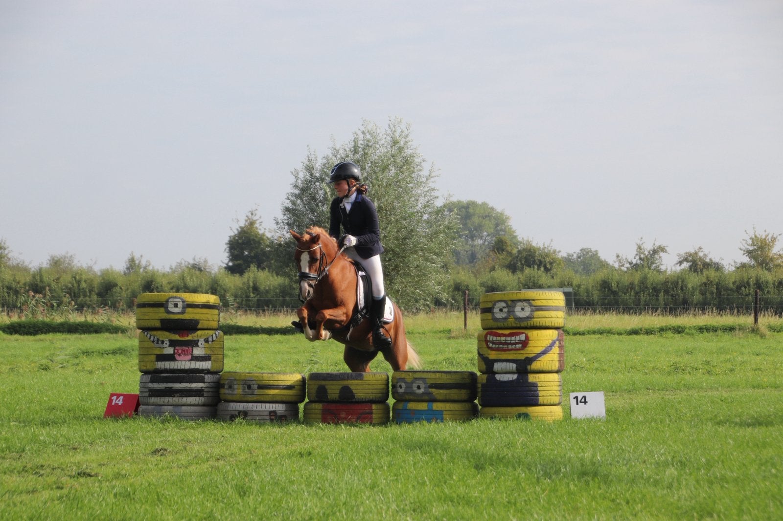 Allround, betrouwbare, lieve, knappe grote B pony, Dieren en Toebehoren, Merrie, Met stamboom, Dressuurpony, L