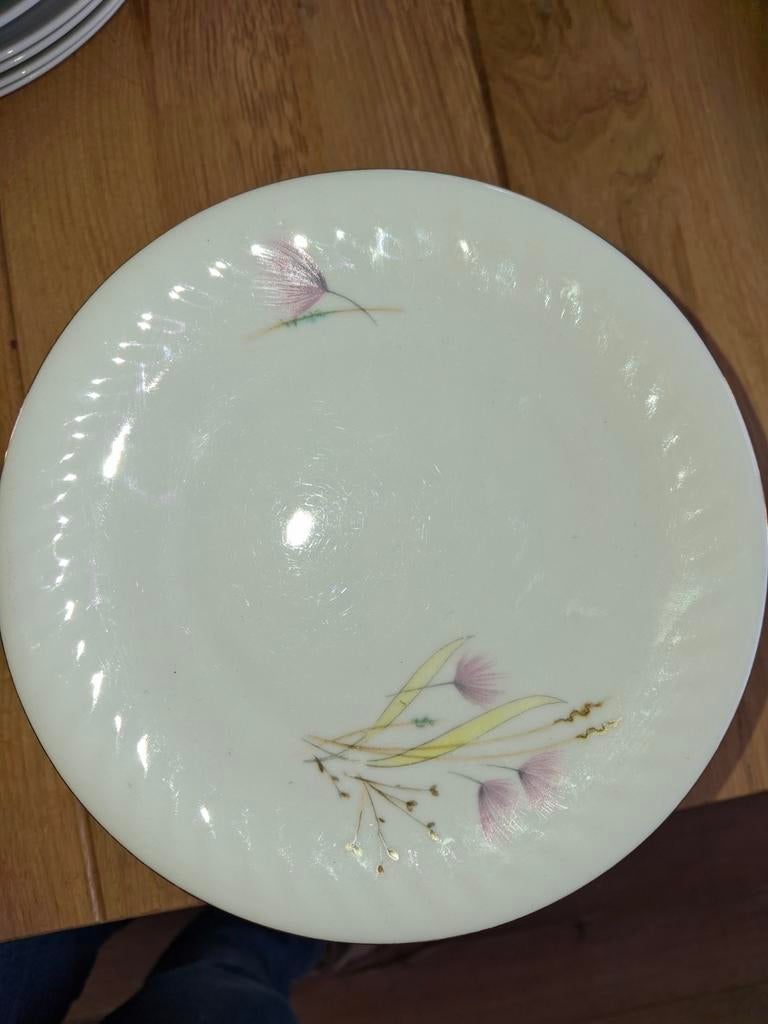 11 hutschenreuther gebaksbordjes, atlantis, Huis en Inrichting, Keuken | Servies, Ophalen, Zo goed als nieuw, Bord(en), Overige stijlen