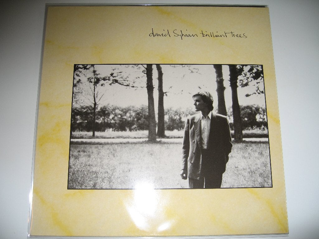 David Sylvian - Brilliant trees, Ophalen of Verzenden, Zo goed als nieuw, 12 inch, Poprock