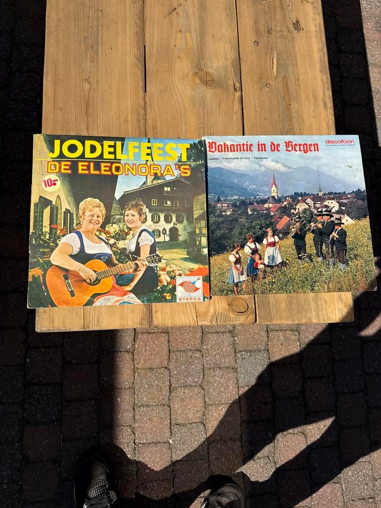 Jodelfeest & Vakantie in de Bergen LP's - De Eleonora's, Ophalen of Verzenden, 1970 - 1979, Gebruikt, 12 inch