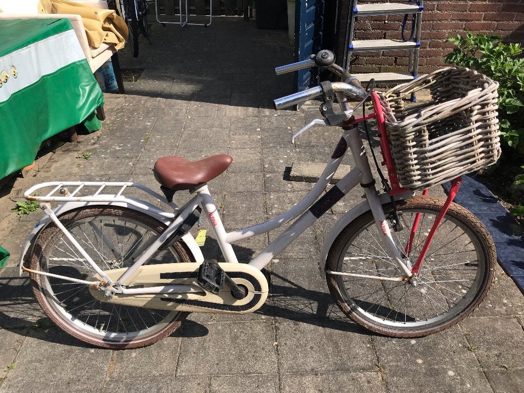 Alpina kinderfiets, Ophalen, Terugtraprem, Gebruikt, Alpina