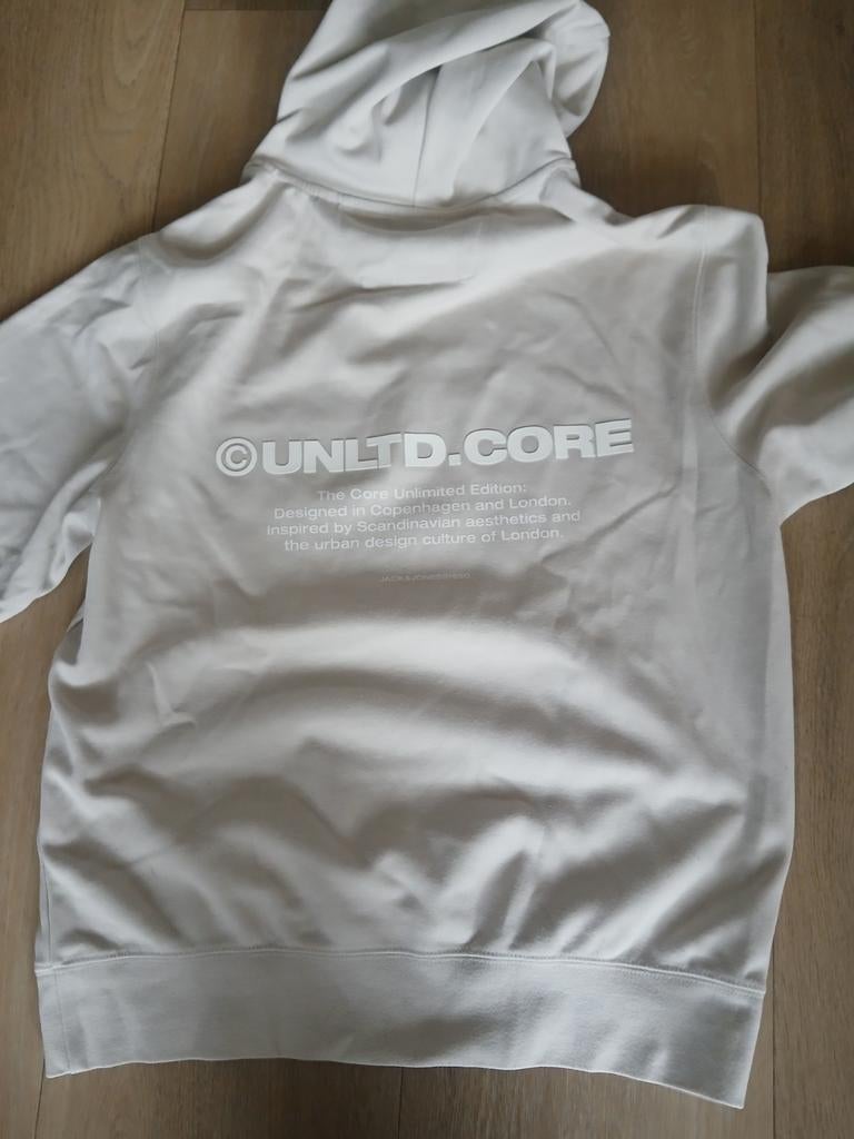 Trui off white van the sting, Kleding | Heren, Truien en Vesten, Ophalen of Verzenden, Zo goed als nieuw, Zwart