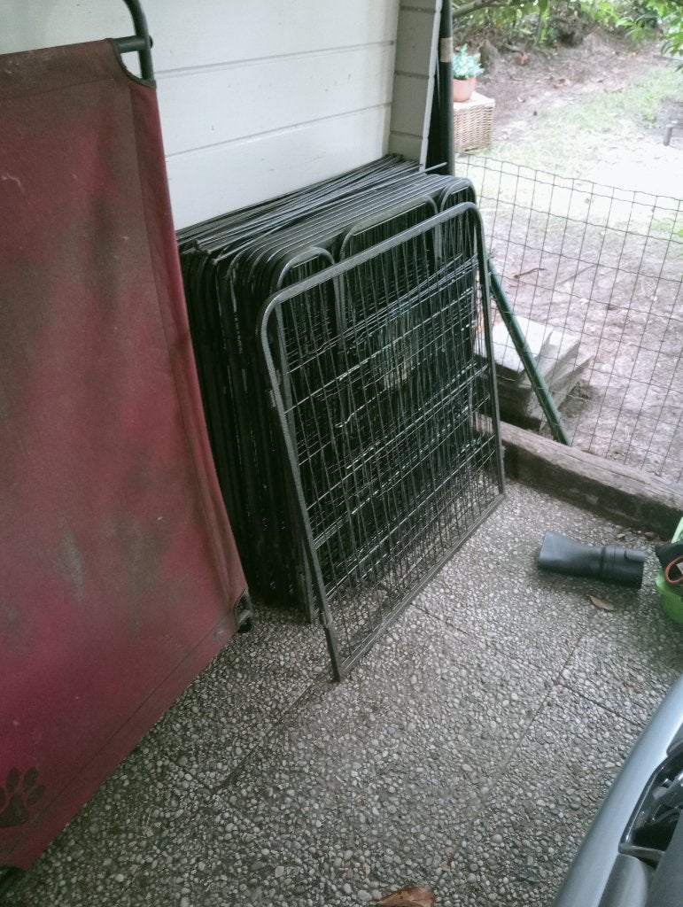 3 puppyren nen, Dieren en Toebehoren, Ophalen, Gebruikt