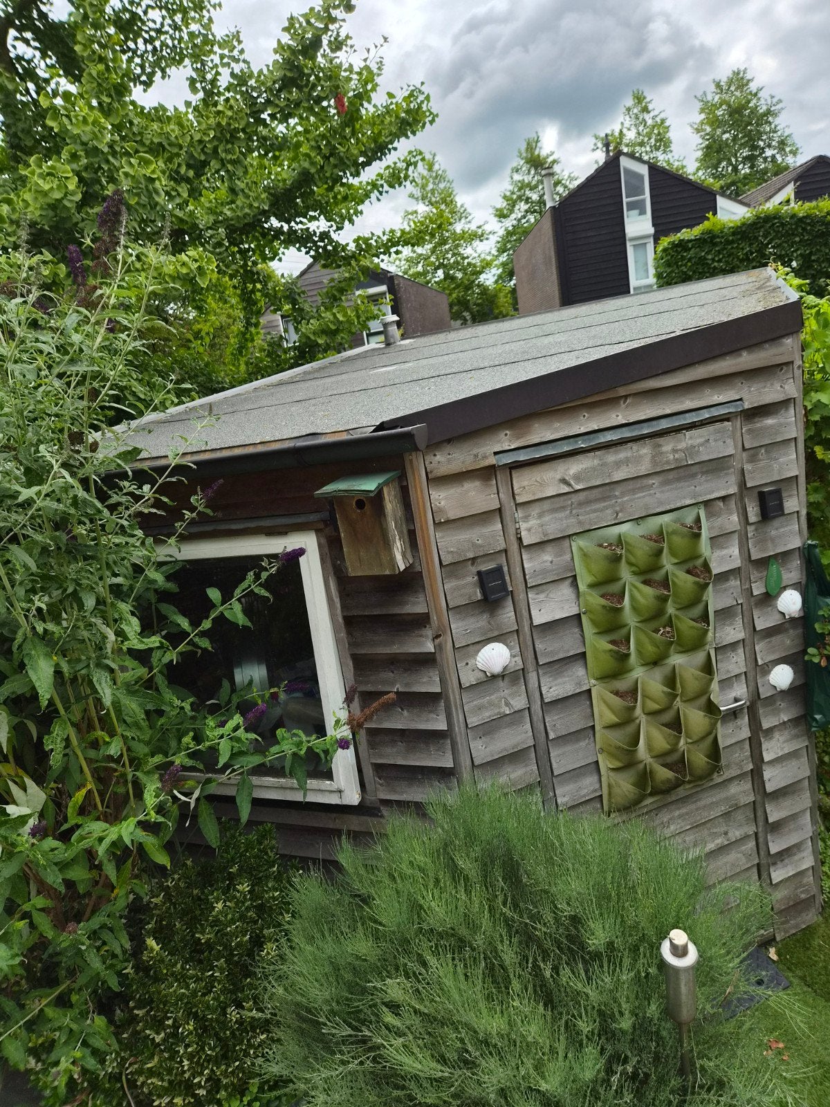 Houten berging 370x270cm gratis af te halen, Ophalen, Gebruikt, Hout, Overige typen