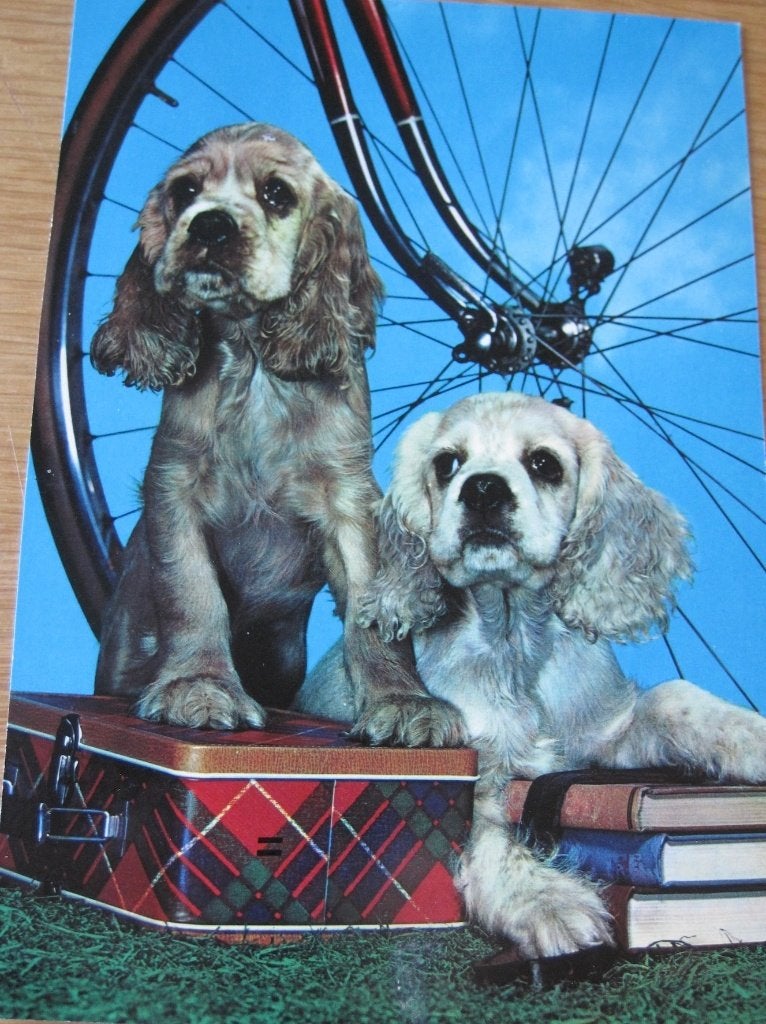 Twee honden met boeken - blik en fietswiel - onbeschreven, Ophalen of Verzenden, 1960 tot 1980, Ongelopen, Hond of Kat